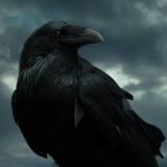Profile picture of Reverend Raven