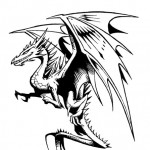 Profile picture of Dragon