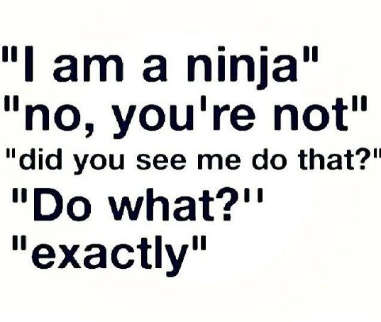 ninja