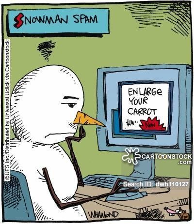 men-snow-snowmen-carrots-spamming-spammer-dwh110127_low