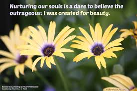 beauty